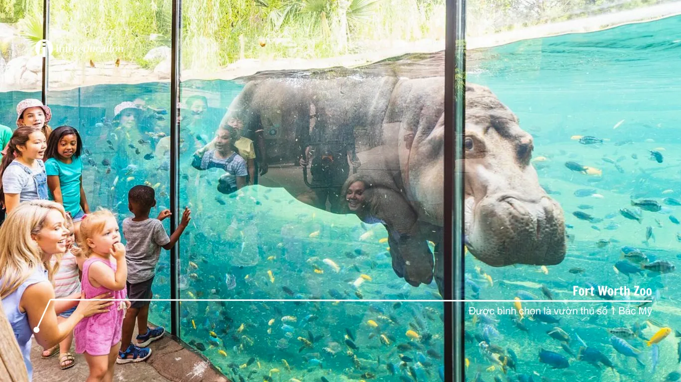 Fort-Worth-Zoo-du-lich-Texas